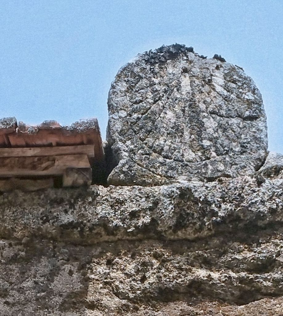 S. Salvador de Viveiro - Boticas